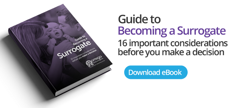 Guide to Becoming a Surrogate eBook