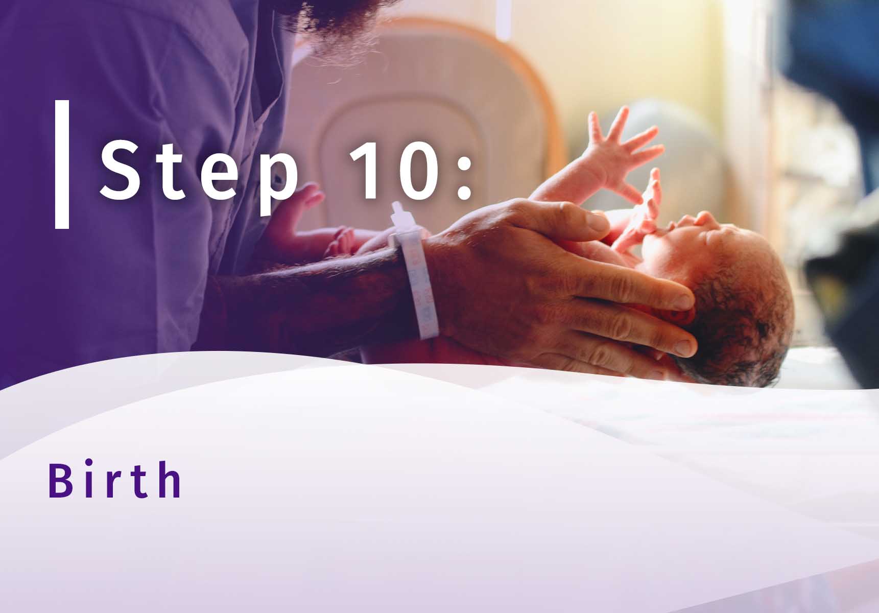 Surrogacy Step 10