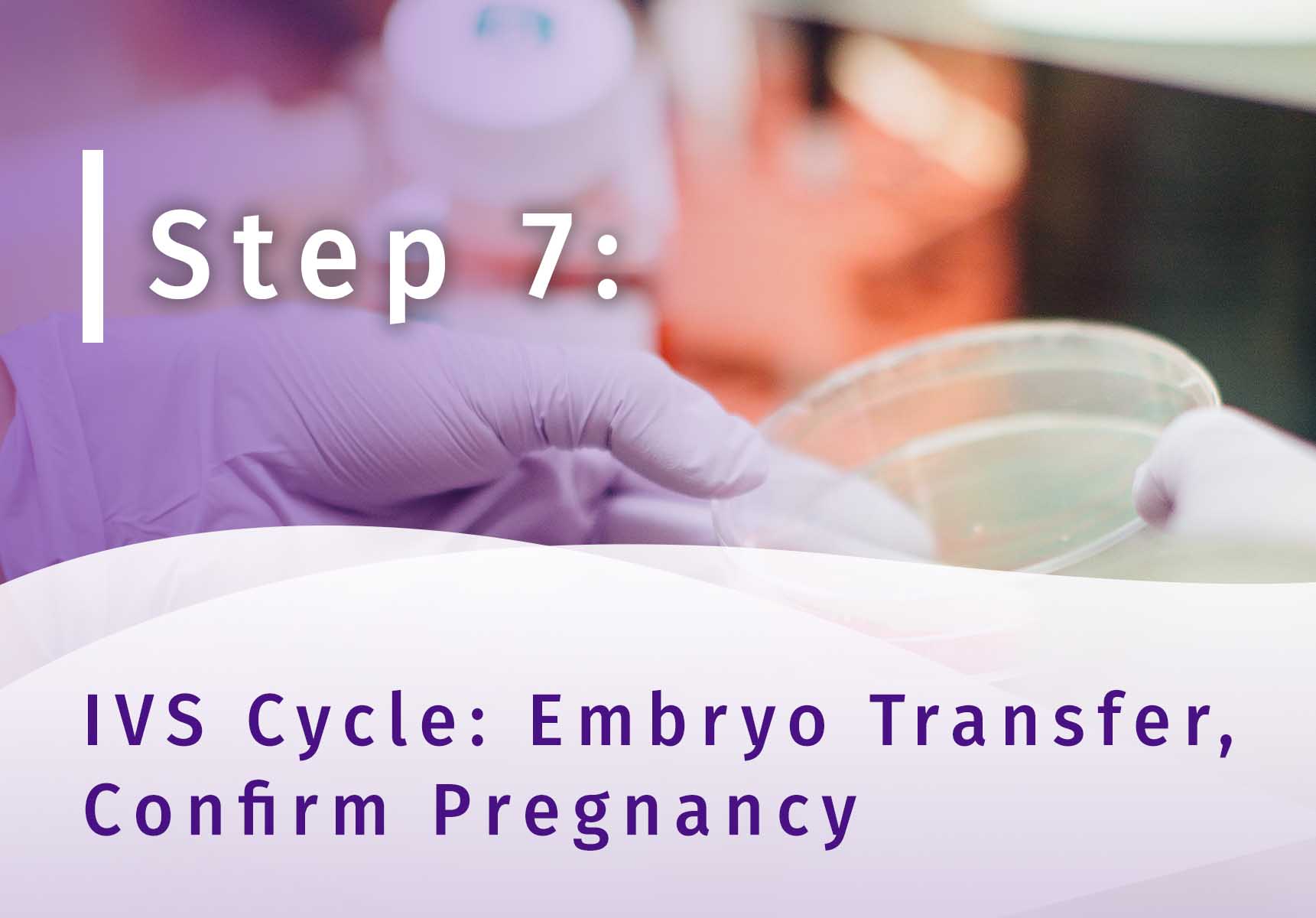 Surrogacy Step 7